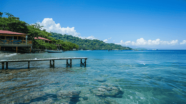 Roatan Rhythms: Diving in Honduras
